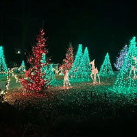 Christmas at Kingwood Gardens